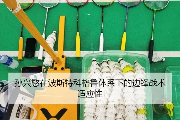 sun-xing-min-zai-bo-si-te-ke-ge-lu-ti-xi-xia-de-bian-feng-zhan-shu-shi-ying-xing-3-488.jpg